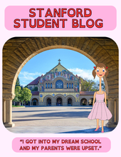 Load image into Gallery viewer, Surviving College: Navigating Education and Mental Health