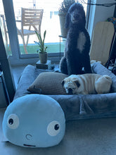 Load image into Gallery viewer, Squish Bob Pillow | Limited Edition BHB Plush (*9 Available)