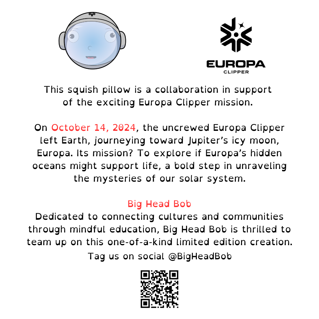 Astronaut Bob | NASA & Big Head Bob Collaboration *Preorder