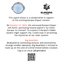 Load image into Gallery viewer, Astronaut Bob | NASA & Big Head Bob Collaboration *Preorder